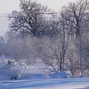 Meet your Posher, Hairby